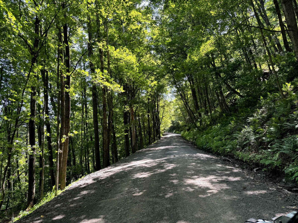 Howard Hill Road photo 2