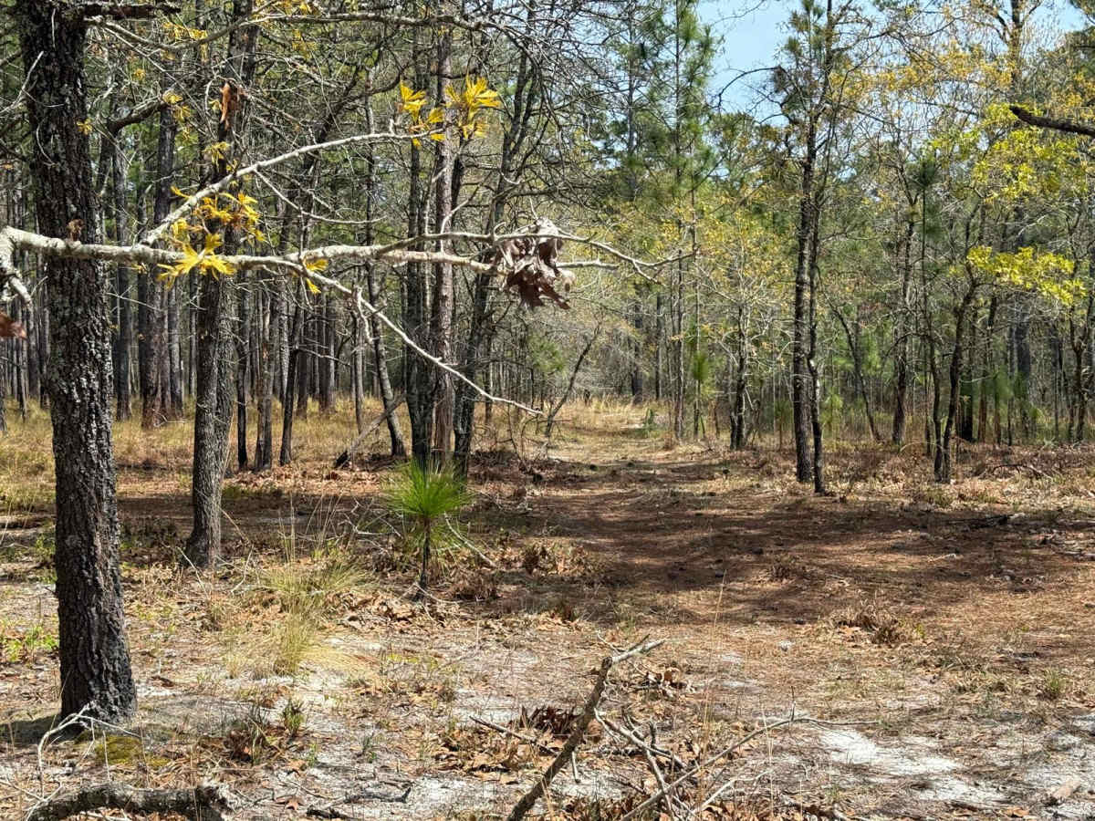 Pringle Road Spur 1 photo 4
