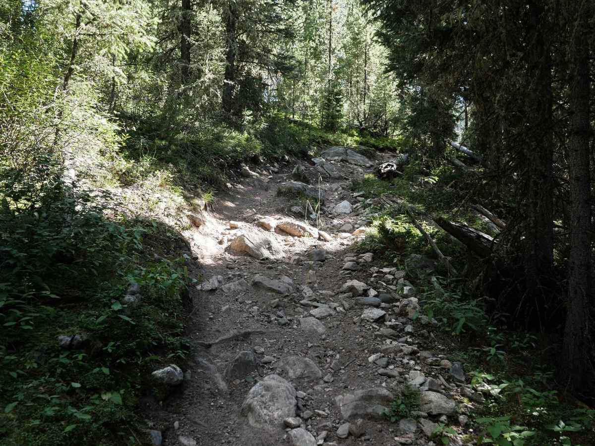 Porcupine Creek #34 photo 3