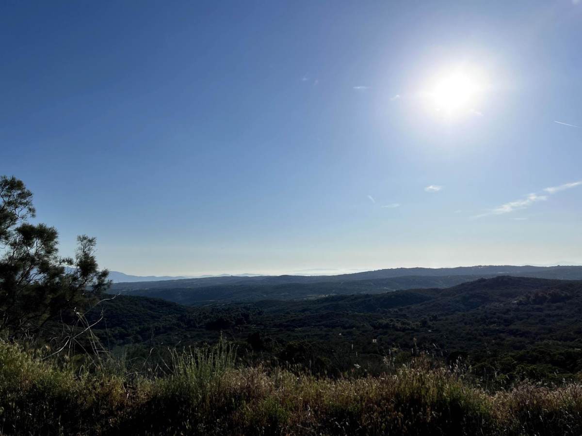 Juan Diego Flat photo 3