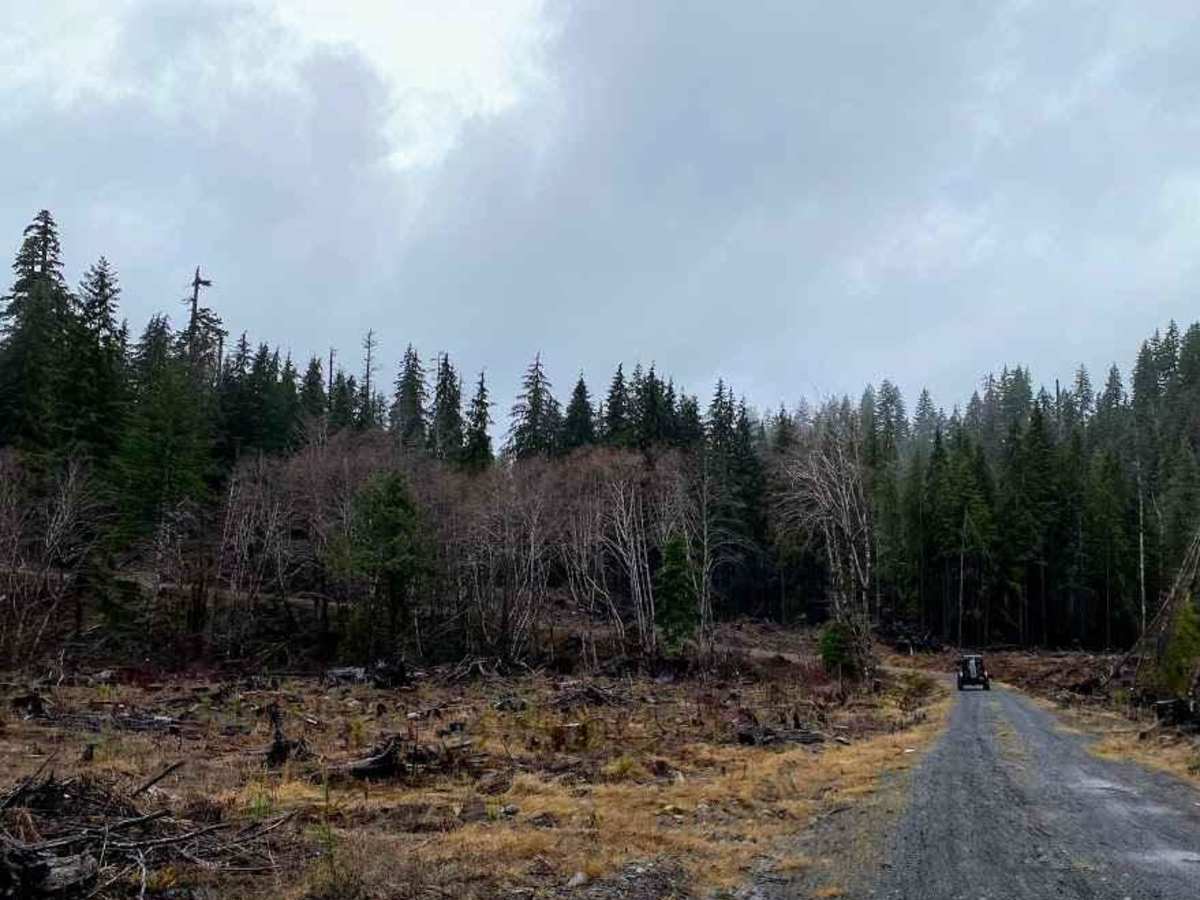 Donkey Creek Cutoff photo 5