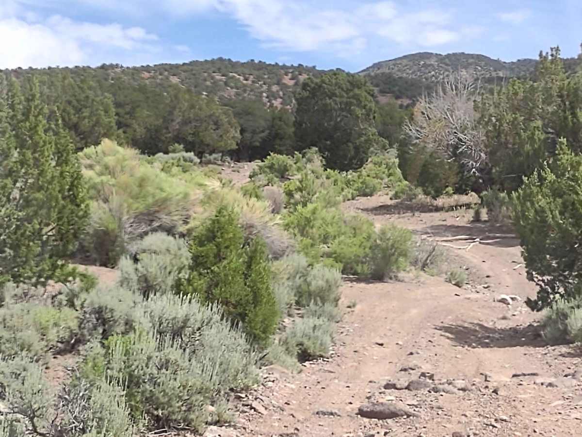 Little Table Hike Access (BM6241) photo 6
