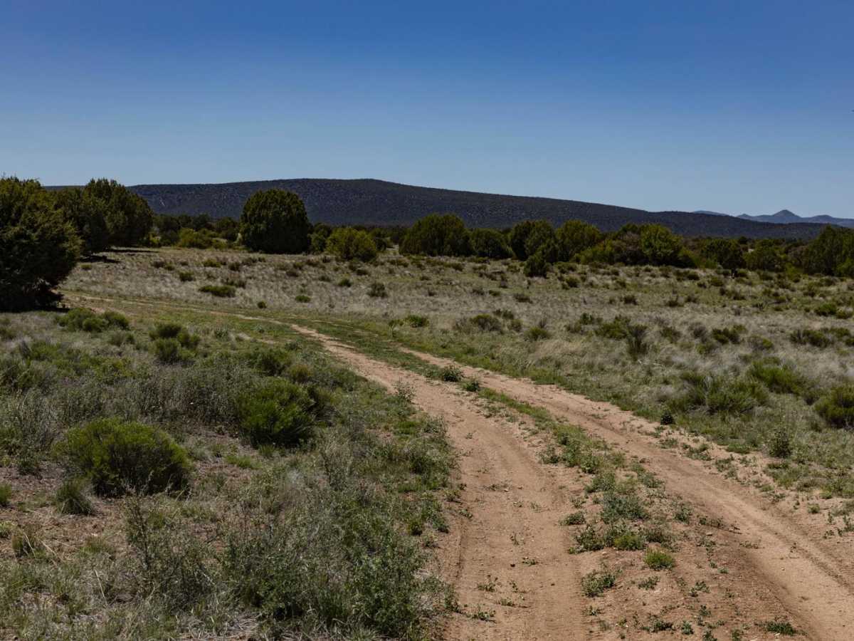 Javelina Camp photo 4