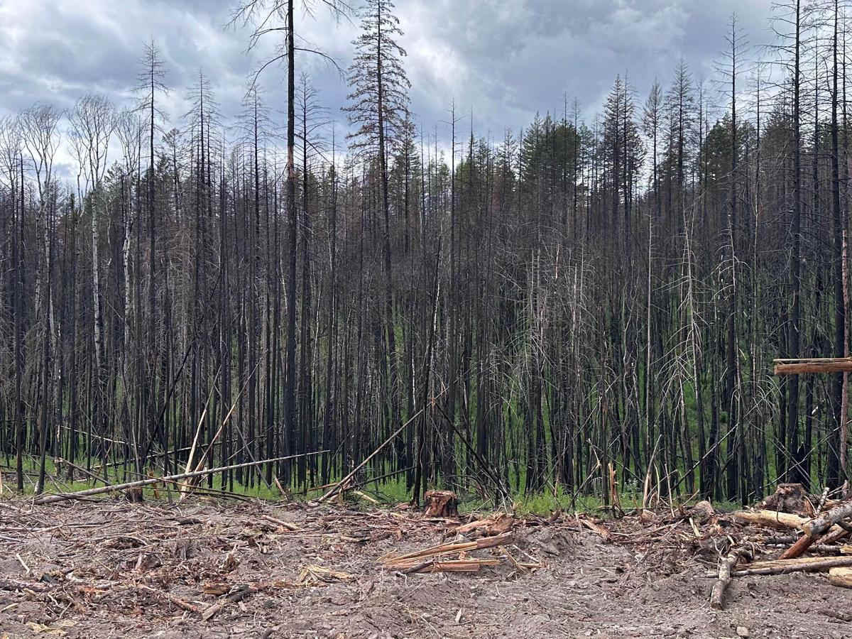 New Fire Road photo 6