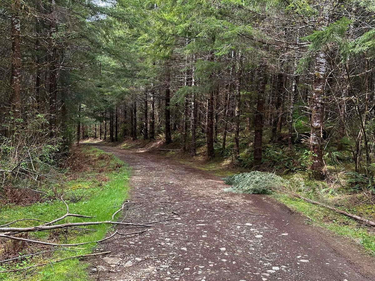 Cole Mtn Ridge photo 3