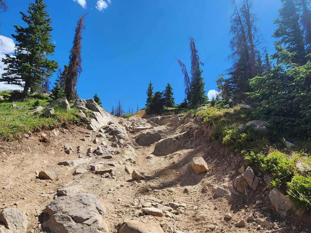 Pomeroy Lake - FS 297 photo 6