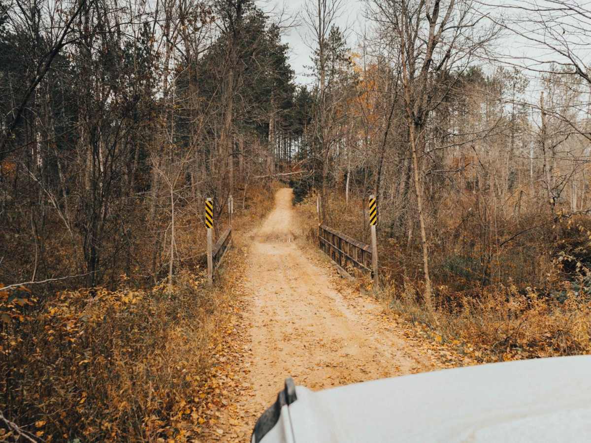 Cedar River Run trail photo