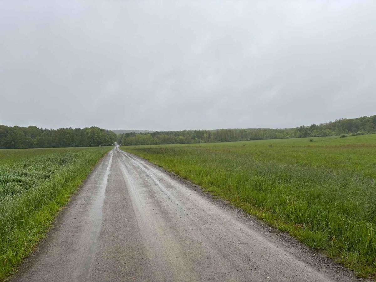 Gay Road photo 6