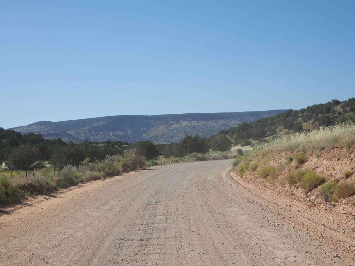 Bill Gray View photo 6