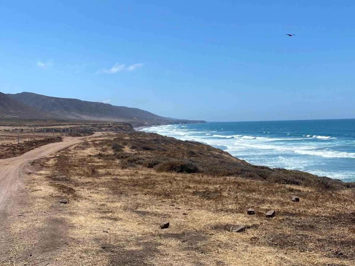 Coastal Route to Bahia Soledad photo 2
