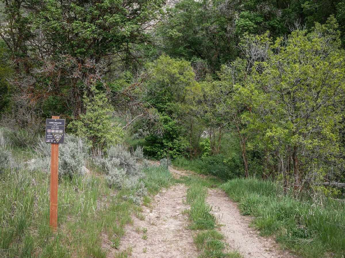 Long Hollow ATV photo 4
