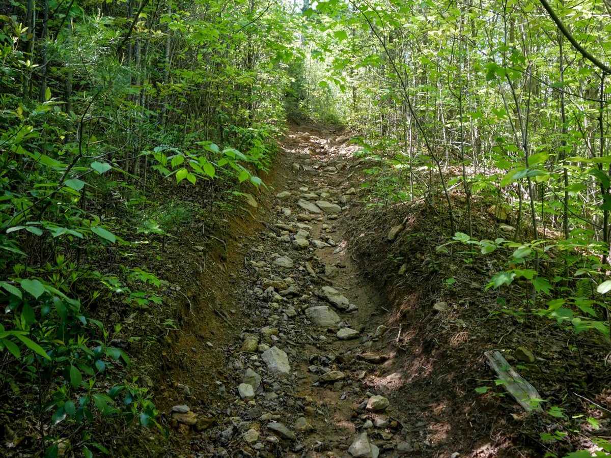 Stage 3 trail photo