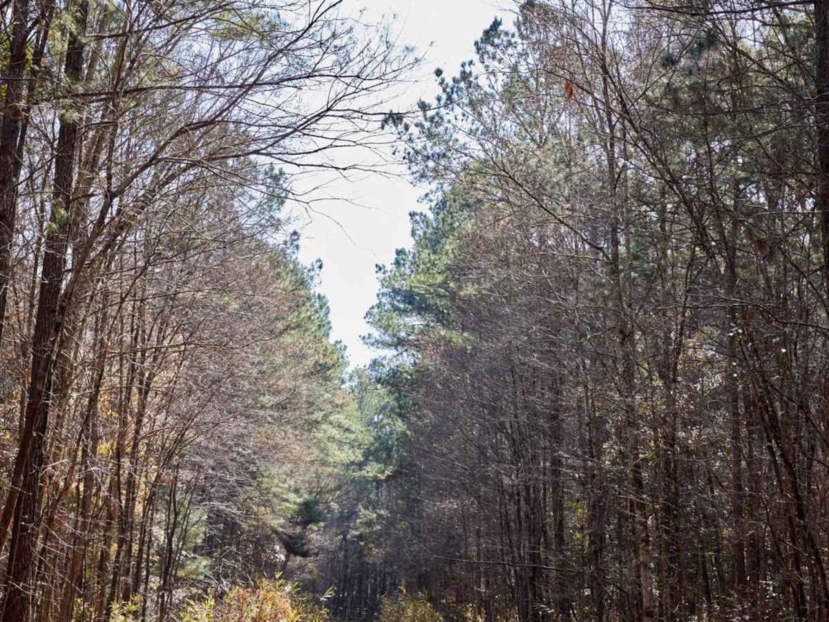 FSR128 - Wadboo Loop photo 3