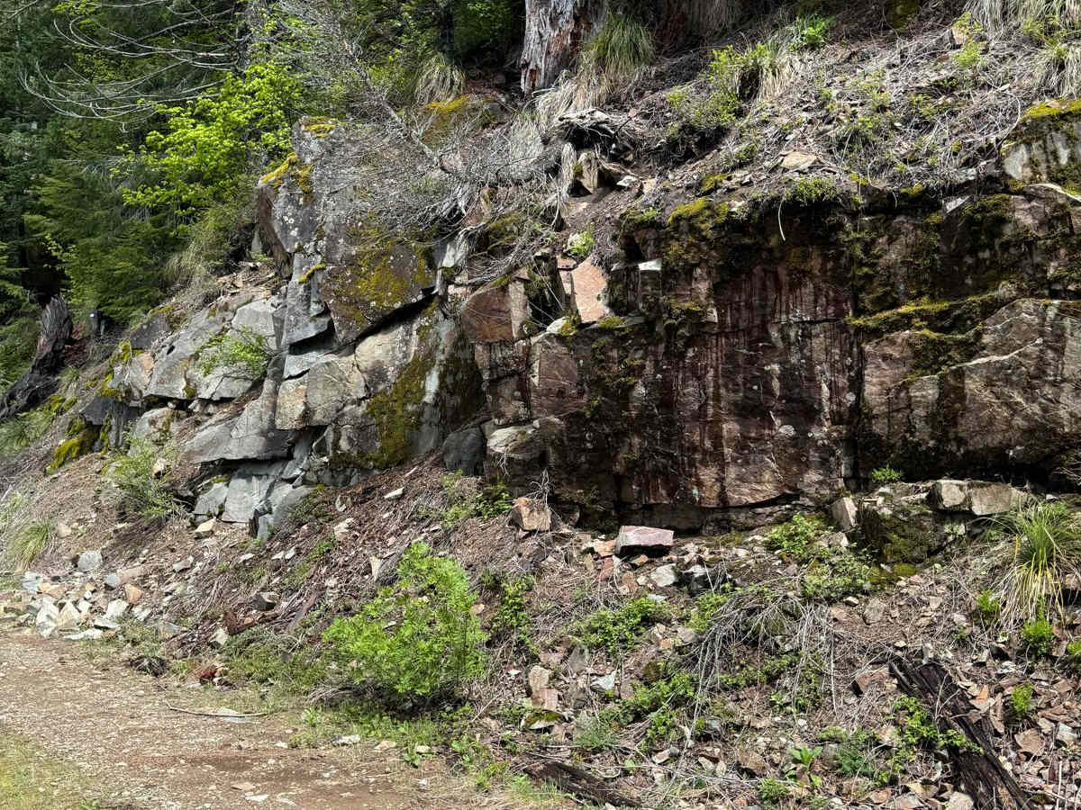 Tatoosh trail photo