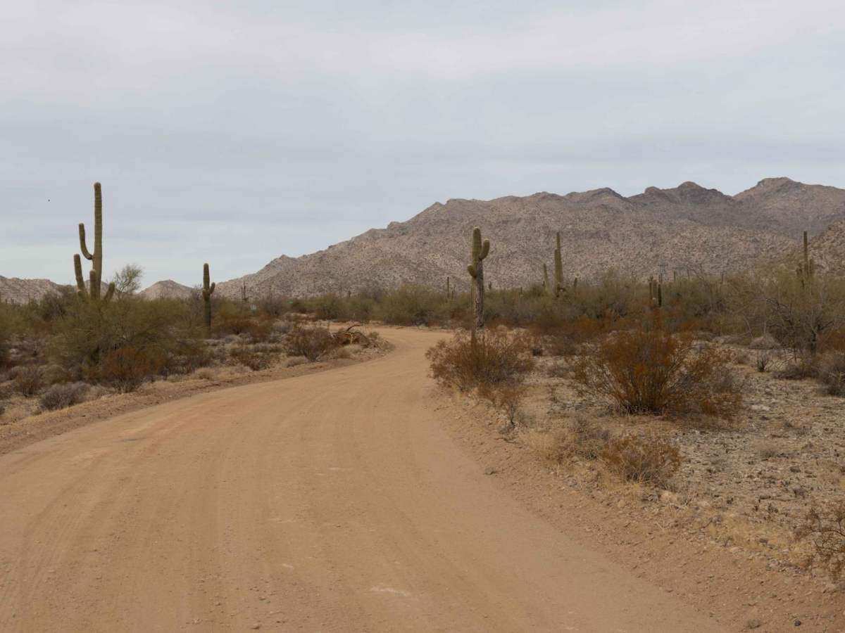 Rattlesnake Road photo 6