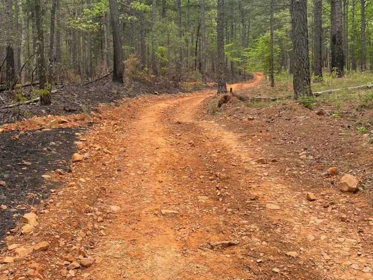 Hickory Nut Trail photo 3