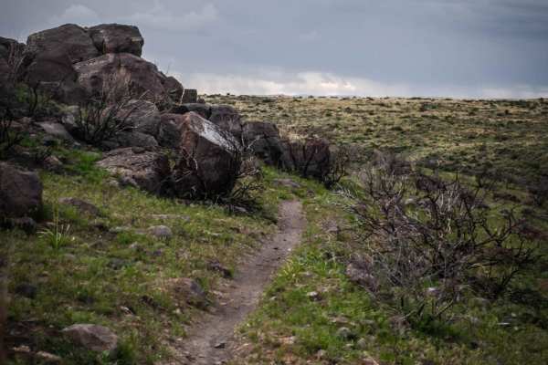 Matt's Gulch
