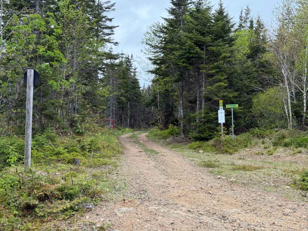 Gillanders Mountain Road West photo 3