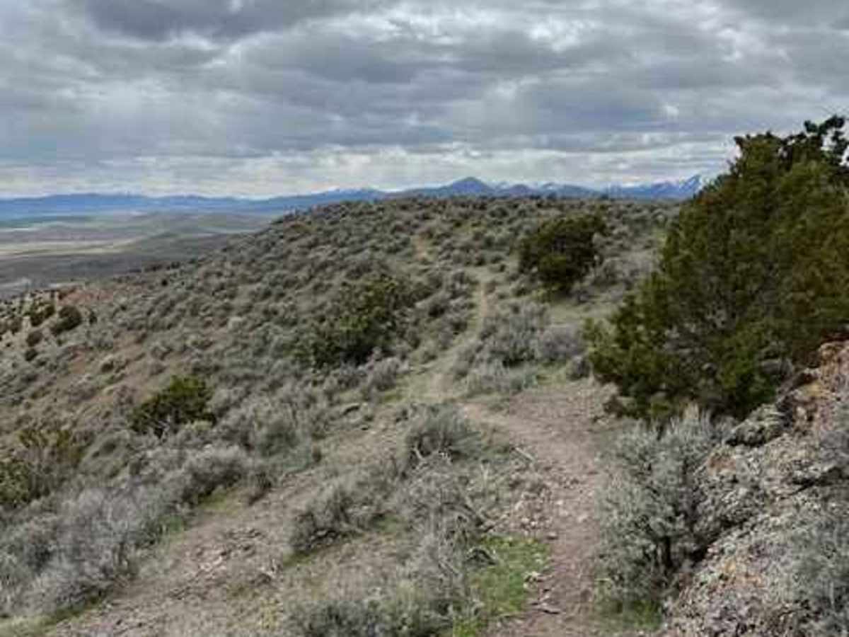 Hills Have Eyes trail photo