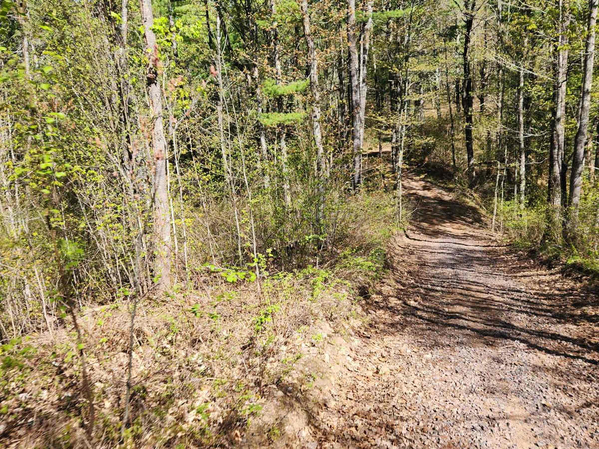Trail 57 photo 3