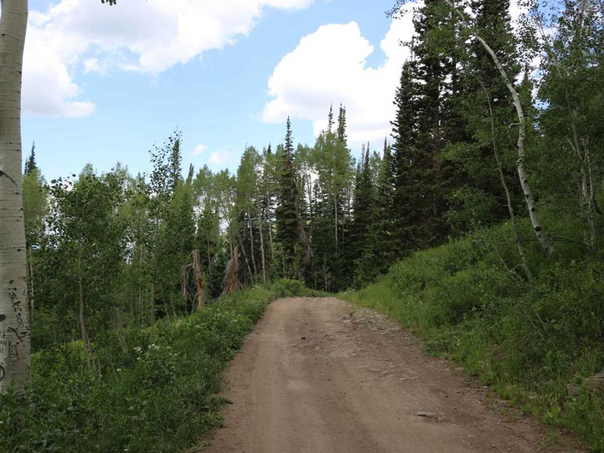 Bear Hollow - FS 70440 photo 2