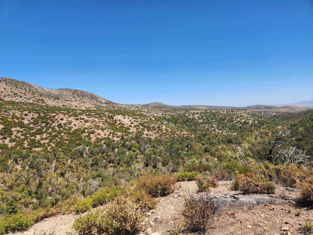 Gardner Canyon FR 92 photo 2