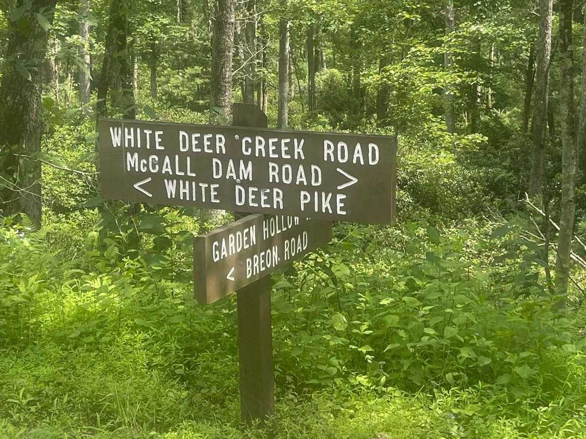 White Deer Creek Road photo 5