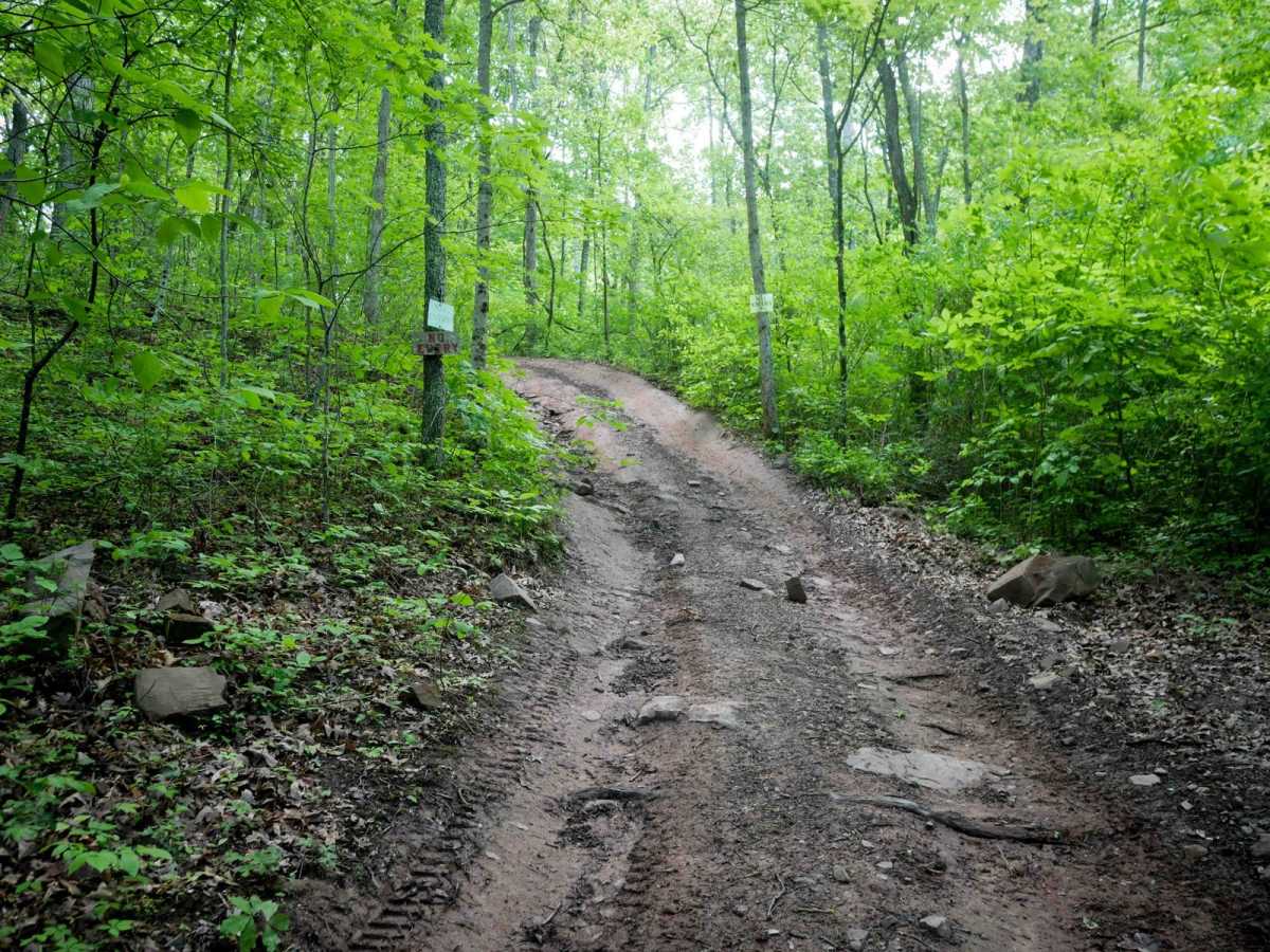 Trail 14 photo 5