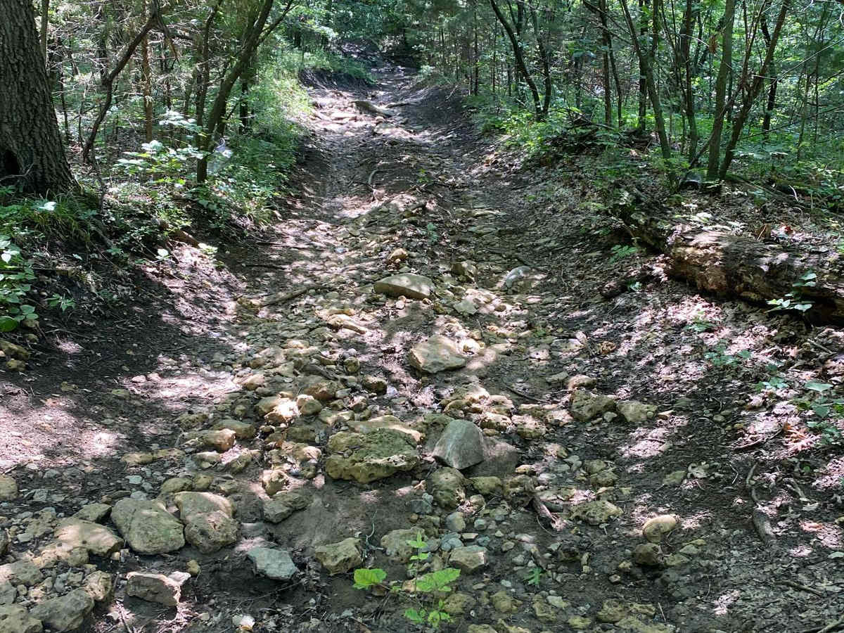 WoodCutter trail photo