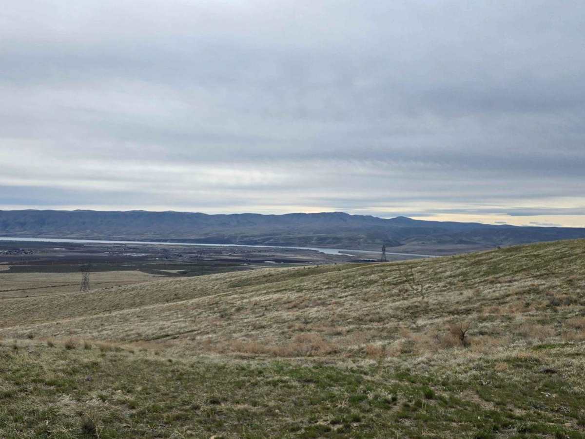 West Saddle Mountains Ridge photo 6