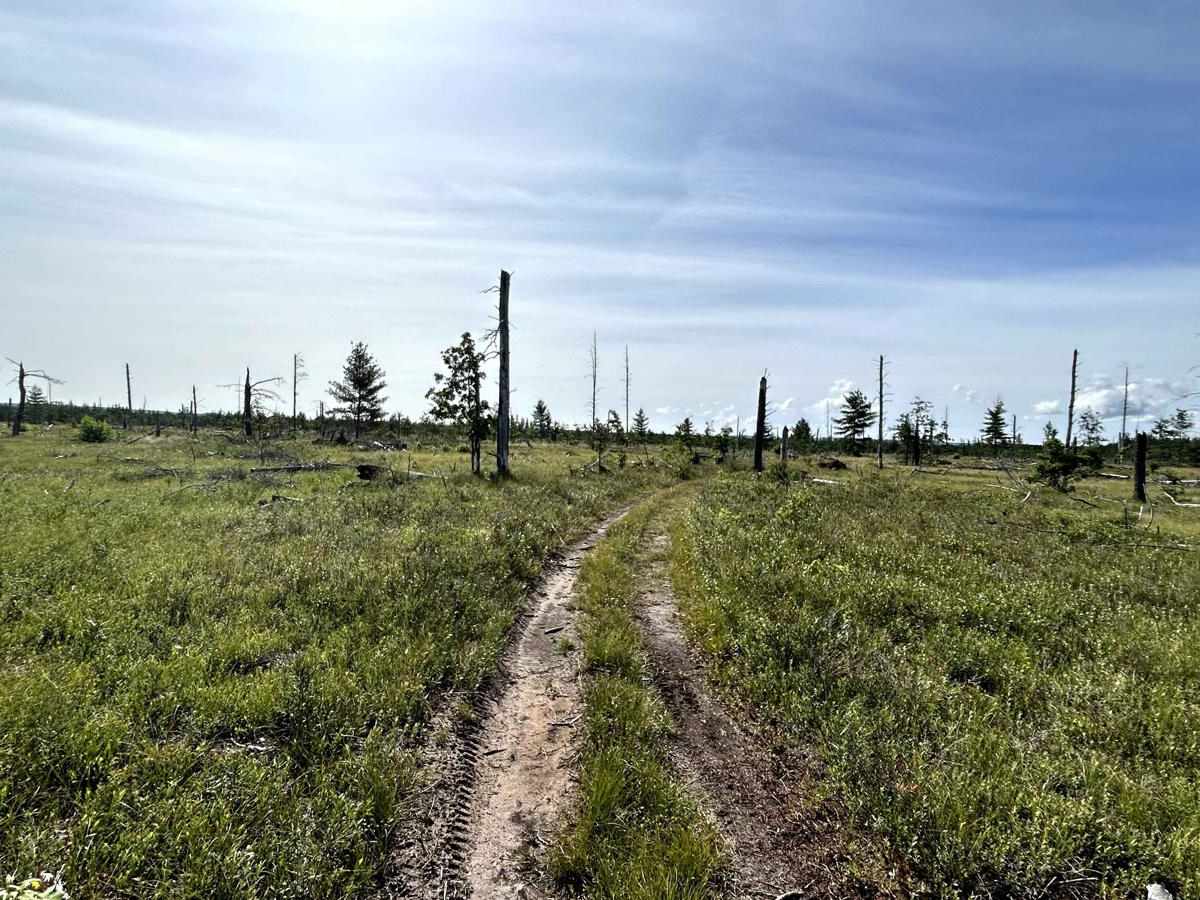 Baraga Plains North Loop photo 3