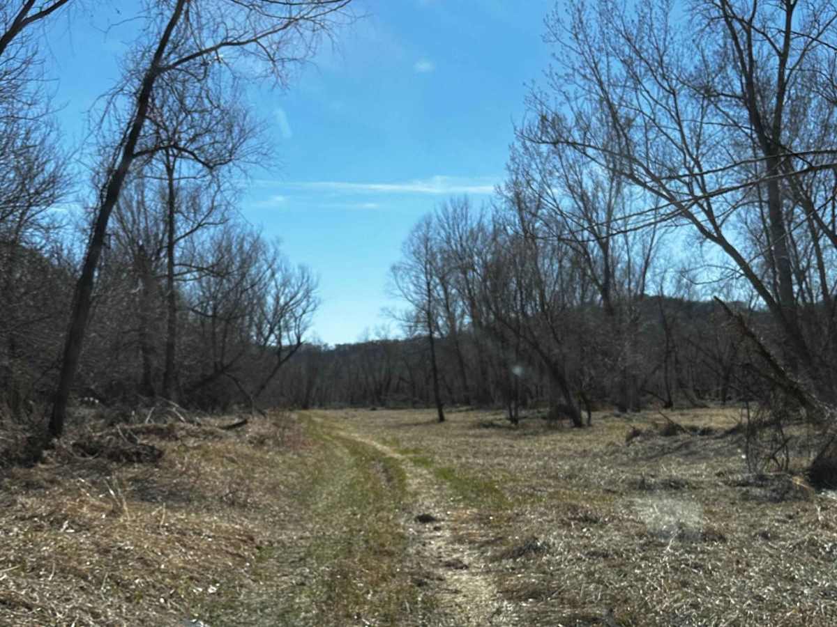 Riverside Dirt Trail - 735A Road photo 2