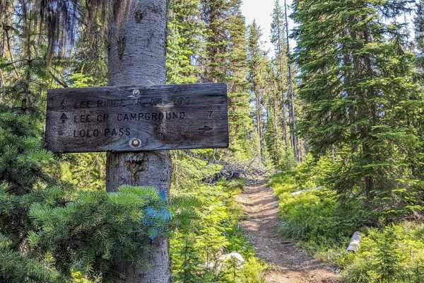Lee Ridge Trail 295