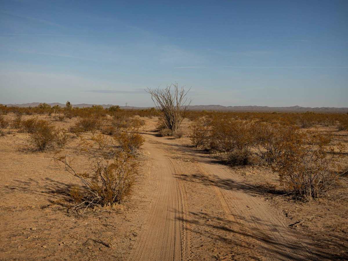 40065 Trail photo 3