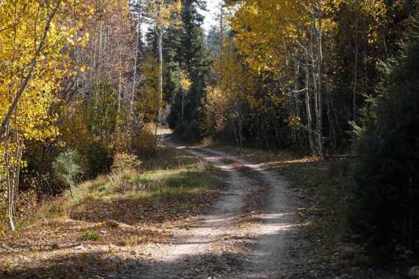 Monument Mountain - 590