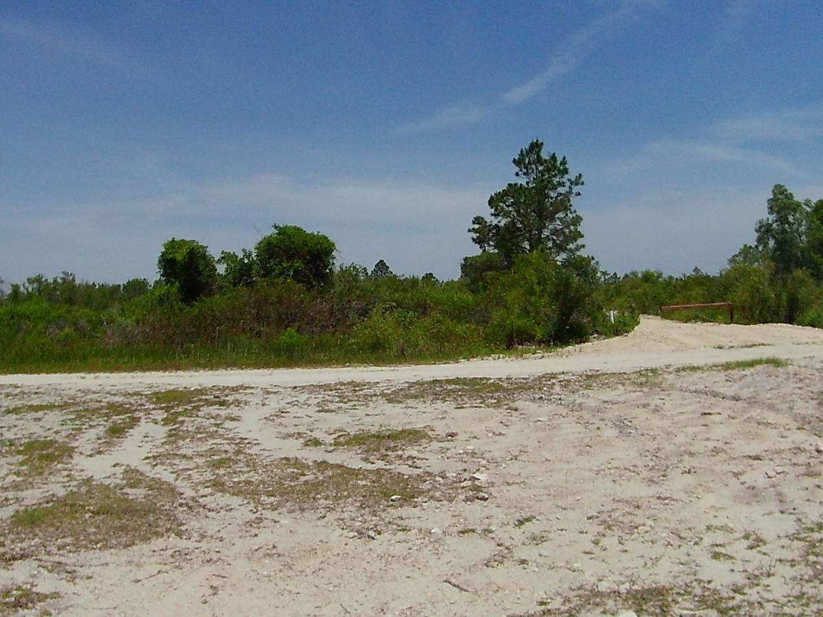 Snake Road photo 3