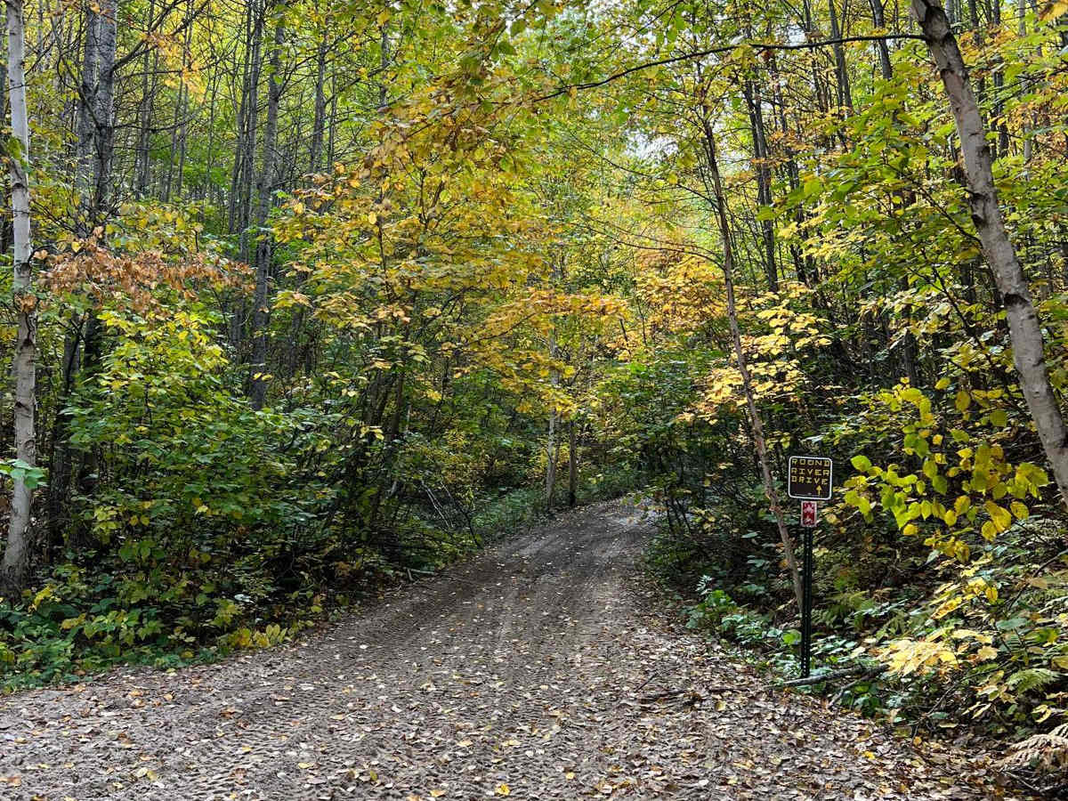Paul Bunyan West River Rd Loop photo 5