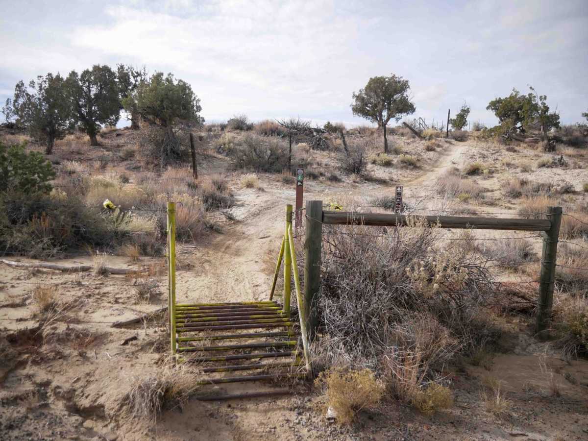 Imperial Walkers trail photo