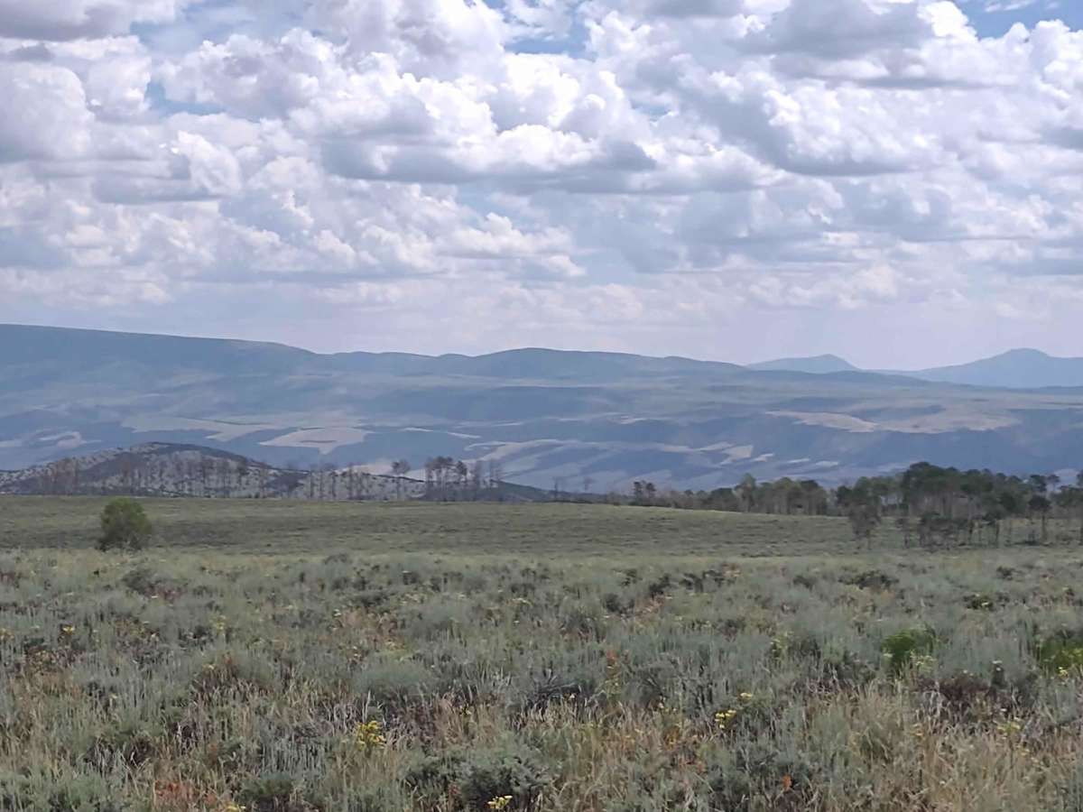 Box Creek Spur (FS 42456, 41232, 41223) trail photo