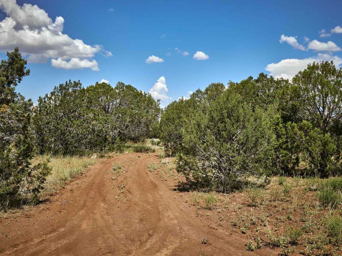 Prairie Train Trail trail photo