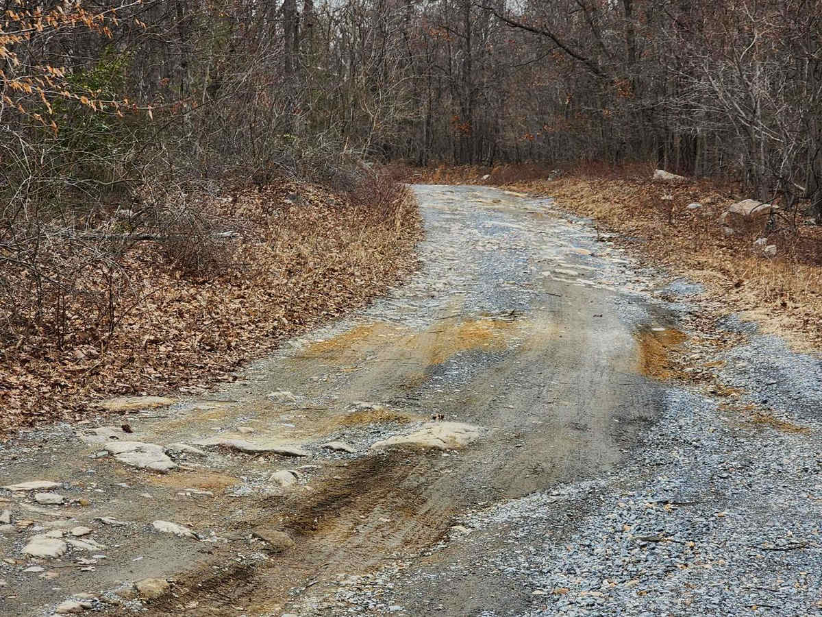 Frederick Watershed photo 3