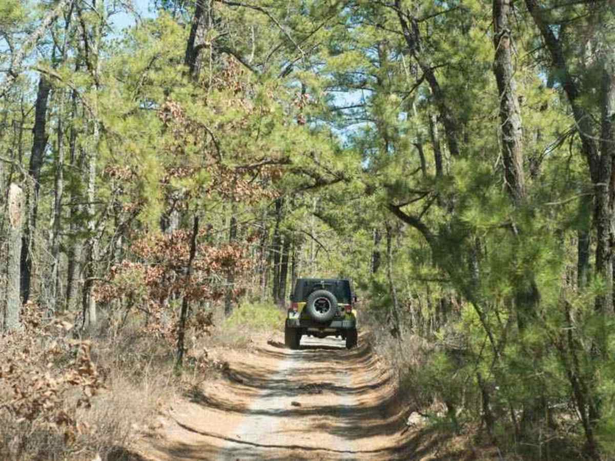 44/1 Bellwood Corporation Mine (Ford Knob Road) trail photo