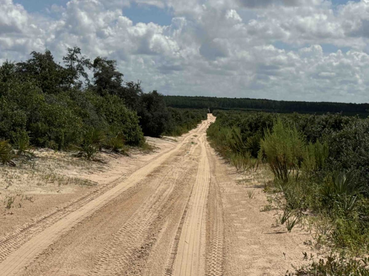 Lam Horse Trail - ONF 22-0.3A photo 4