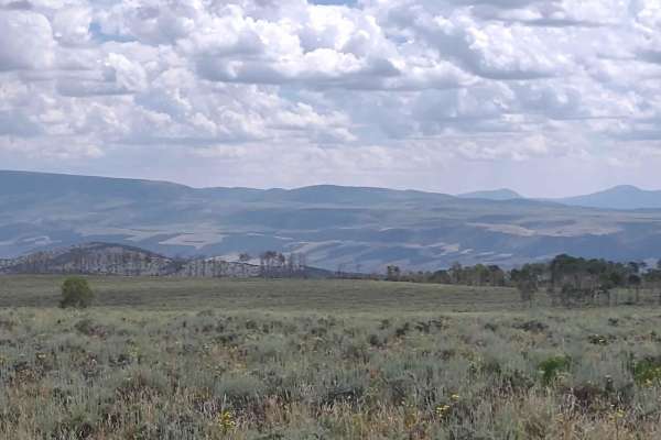 Box Creek Spur (FS 42456, 41232, 41223)