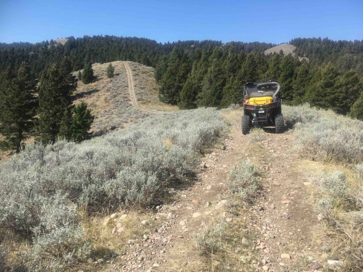 Picnic Ridge Trail trail photo