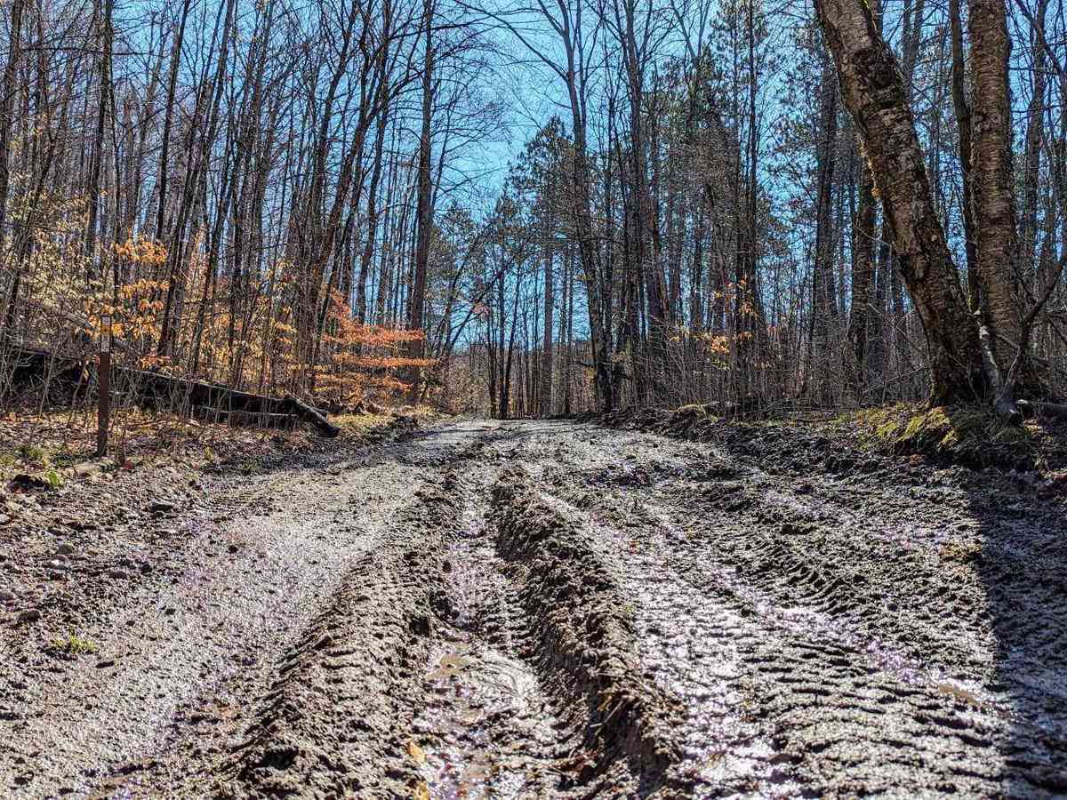 Harmon Road photo 2