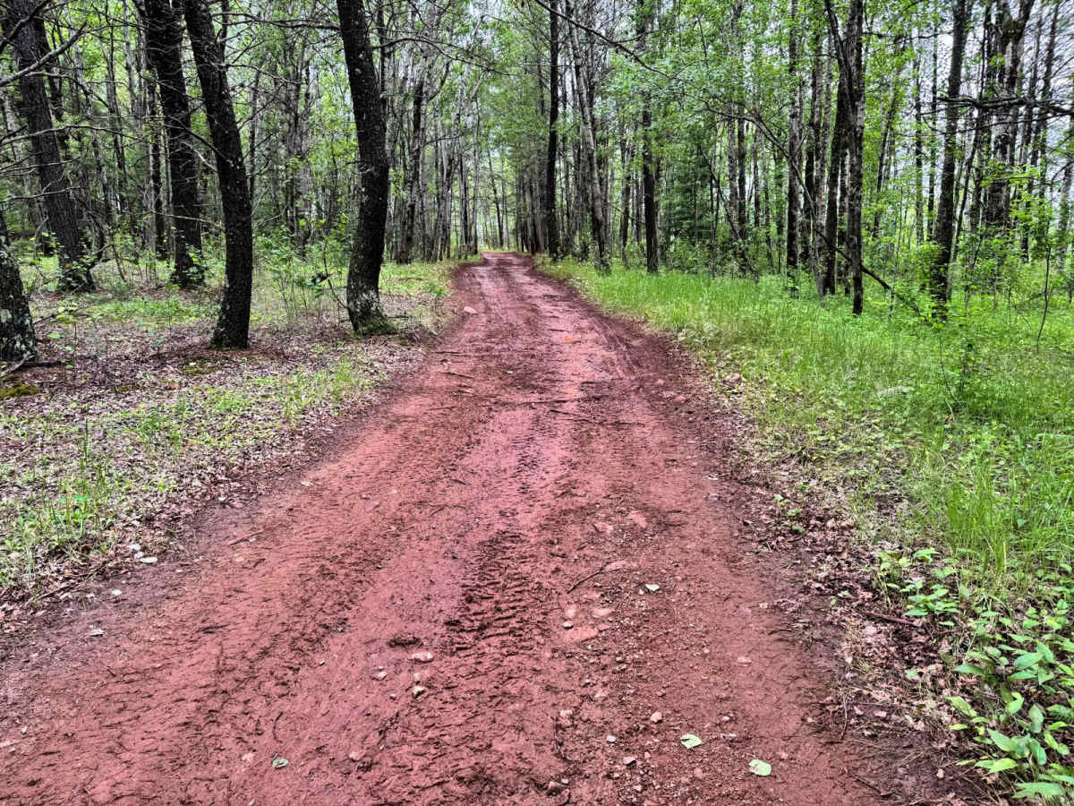Nartz Road photo 6