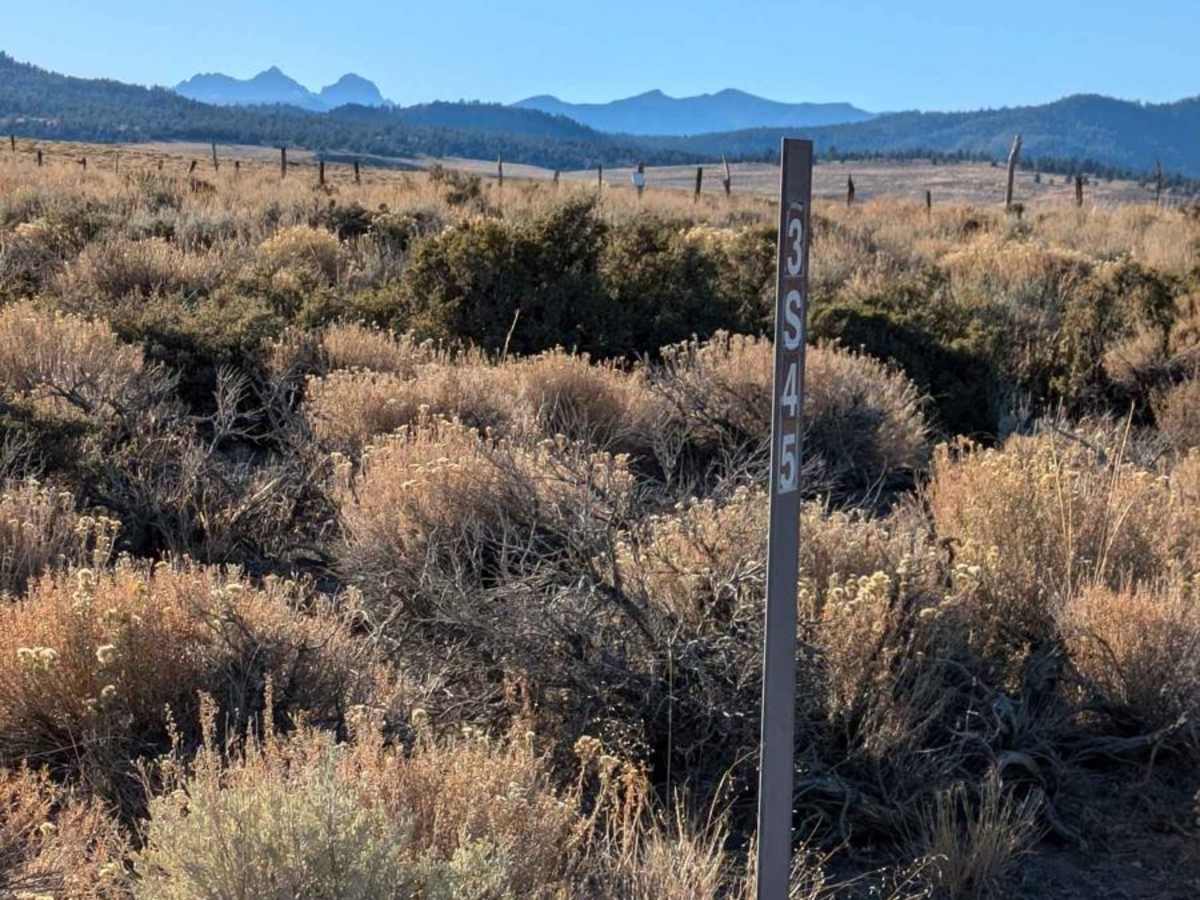 Hot Creek Hatchery Road  photo 2
