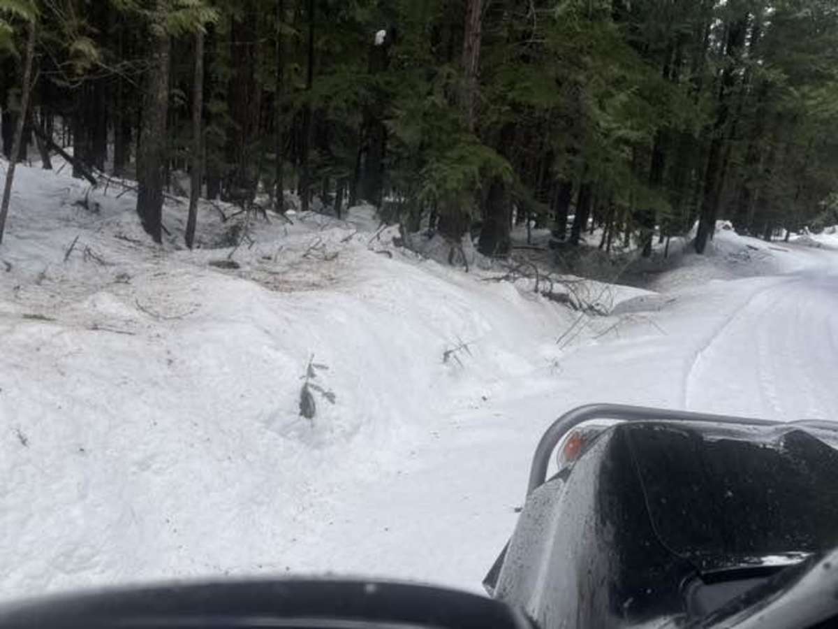 Gleason McAbee 334 trail photo