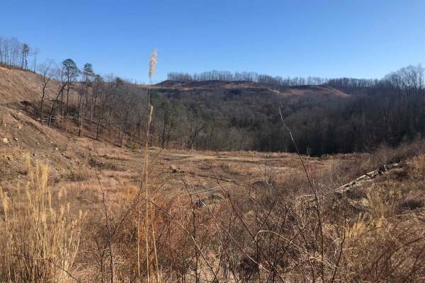 Lickfork Branch Hill